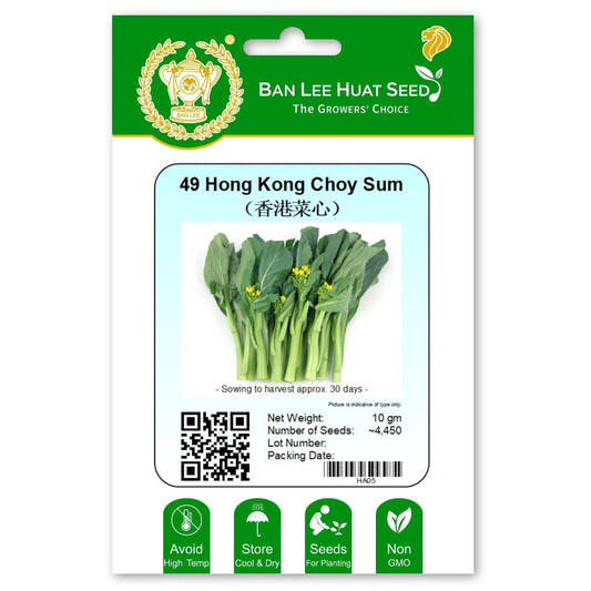 49 Hong Kong Choy Sum