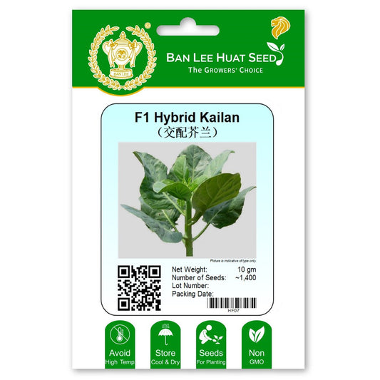 F1 Hybrid Kailan