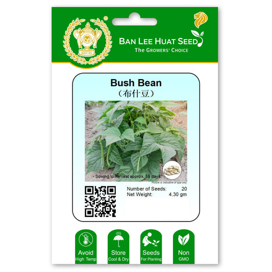 Bush Bean Seed Singapore