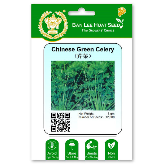 Chinese Green Celery