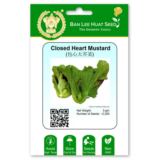 Closed Heart Mustard