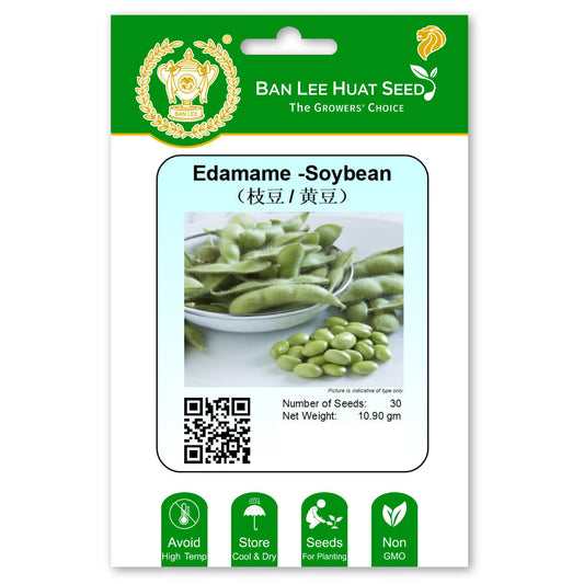 Edamame - Soybean