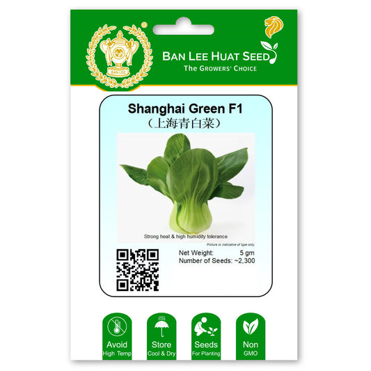 Shanghai Green F1