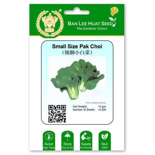 Small Size Pak Choi