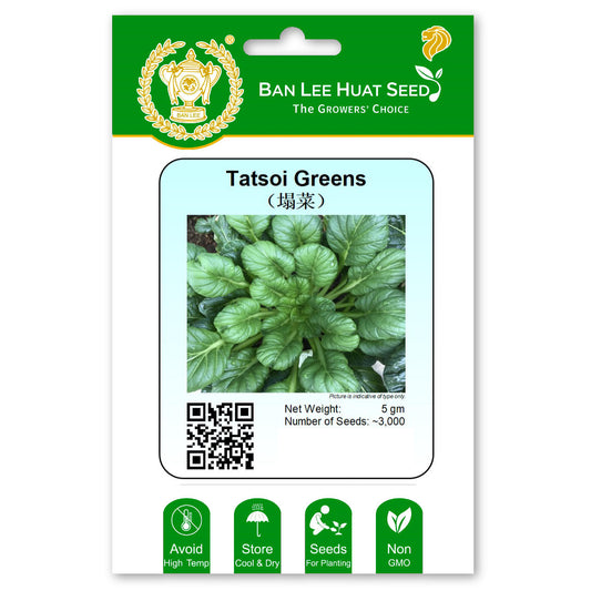 Tatsoi Greens Seed Singapore