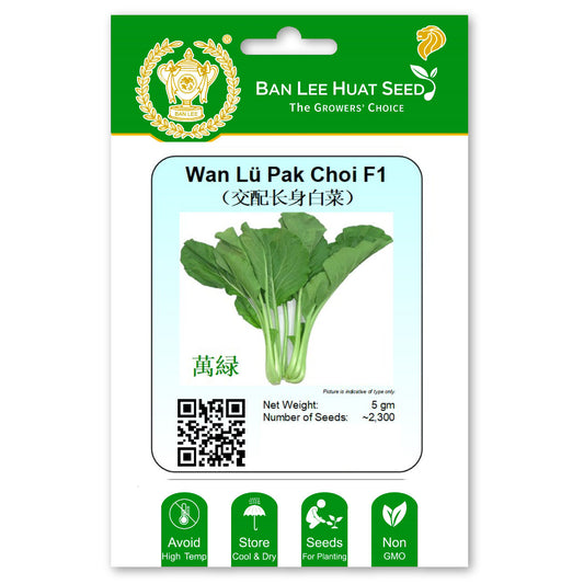 Wan Lu - Green Pak Choi