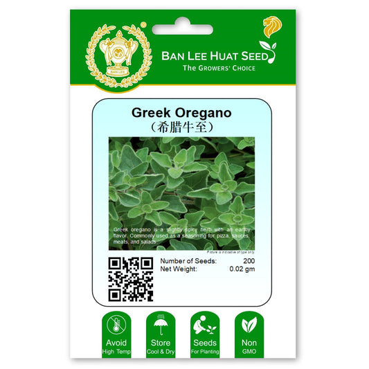 Greek Oregano
