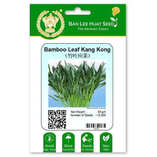 Bamboo Leaf Kang Kong