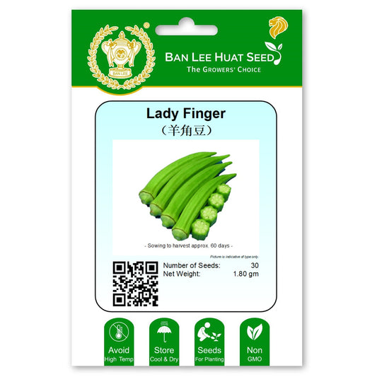Lady Finger
