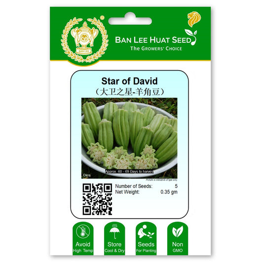 Star oF David - Okra