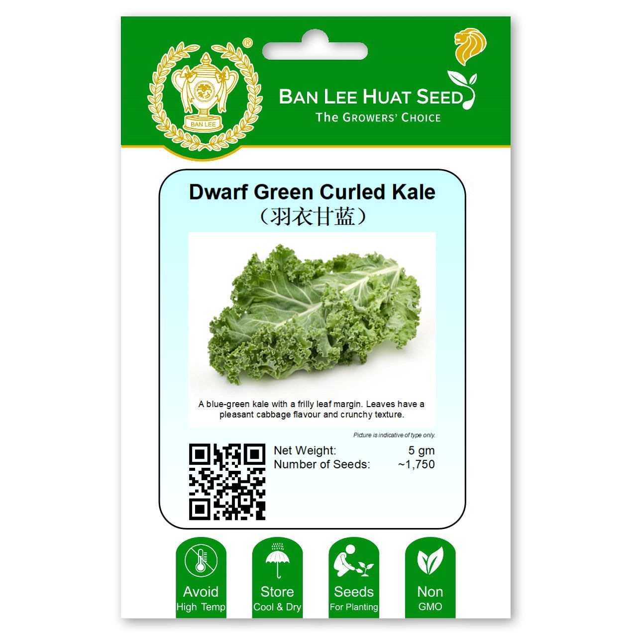 Dwarf Green Curled Kale