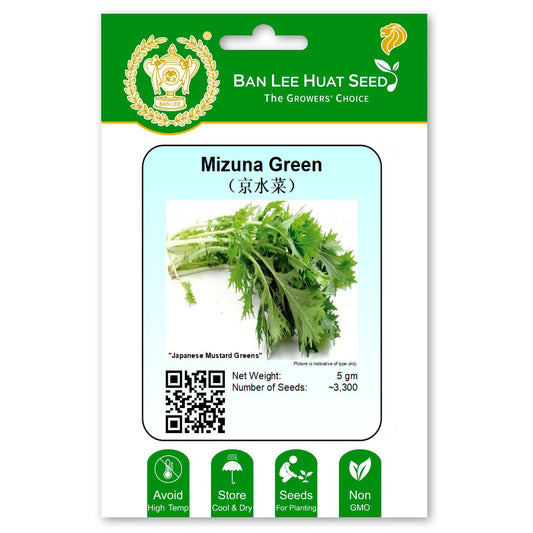 Mizuna Greens