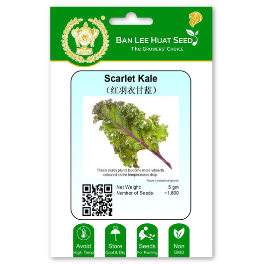 Scarlet Kale