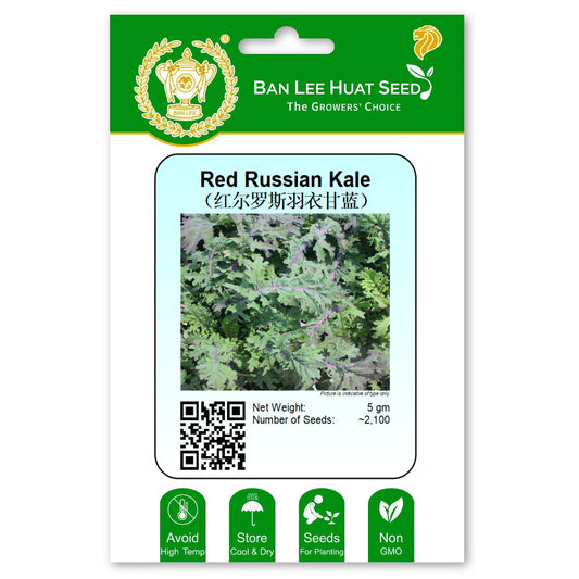 Red Russian Kale