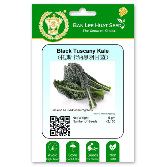 Black Tuscany Kale