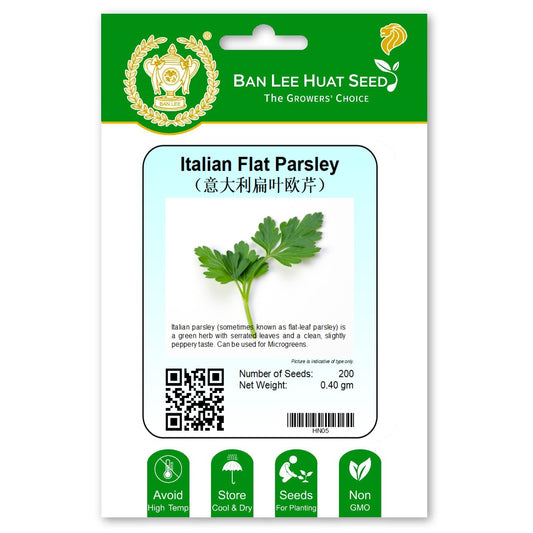 Italian Flat Parsley