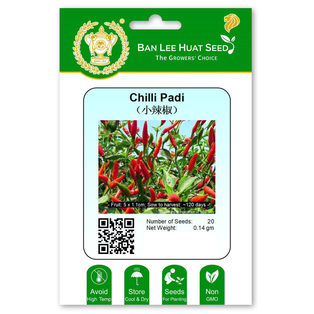 Chilli Padi