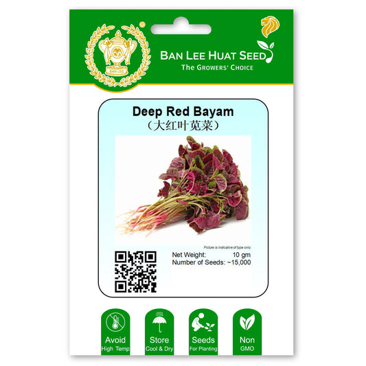 Deep Red Bayam