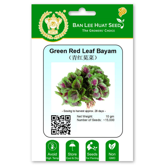 Green Red Leaf Bayam