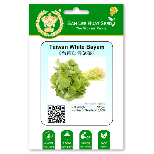 Taiwan White Bayam